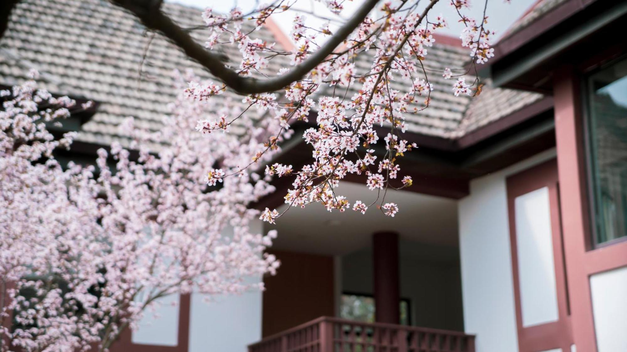 ซัน ไอส์แลนด์ รีสอร์ท เซี่ยงไฮ้ Qingpu ภายนอก รูปภาพ